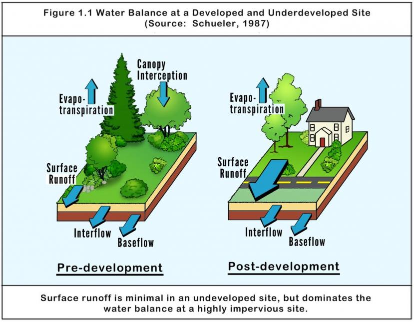 Developed land greatly increases stormwater runoff