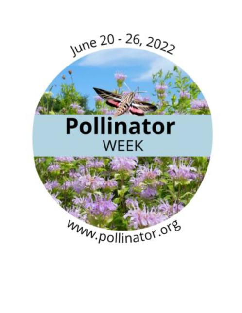 Pollinator Week June 20-26