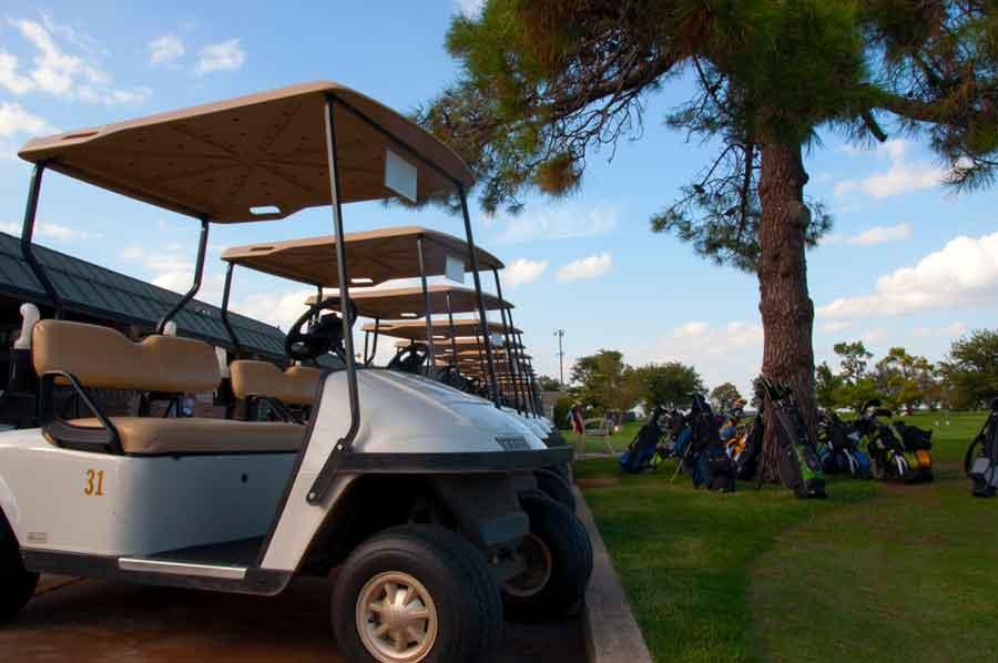 Golf carts near a tree that has bags standing under it.