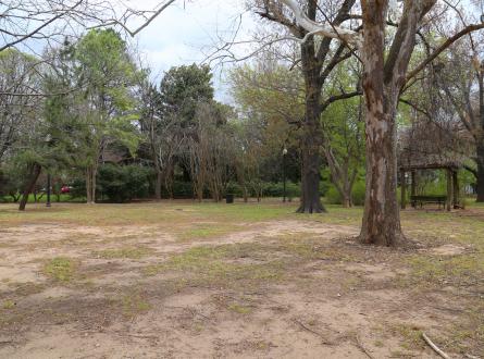 Early Sneed Park Land