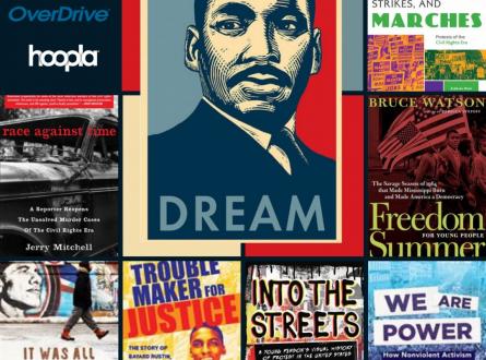 Civil Rights Book Recommendations:  race agianst time, it was all a dream, trouble maker for justice, into the streets, we are power, freedom summer for young people, boycotts, strikes, and marches
