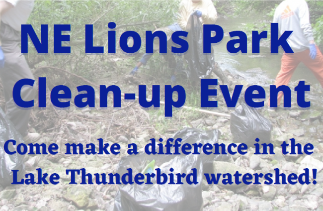 Event for NE Lions Park Cleanup March 21 from 1 to 3 pm